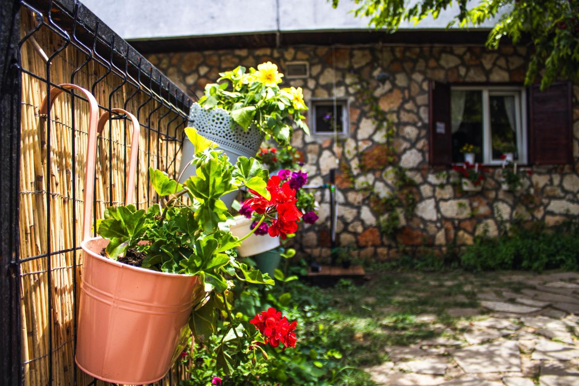 Bohemian Spirit, Vama Veche Apartment ภายนอก รูปภาพ